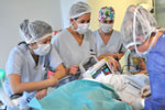Photo de 4 infirmières étudiantes au soin d'un patient