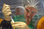 Photo illustrant la recherche en oncopharma