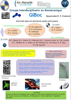 Présentation du GIBoc