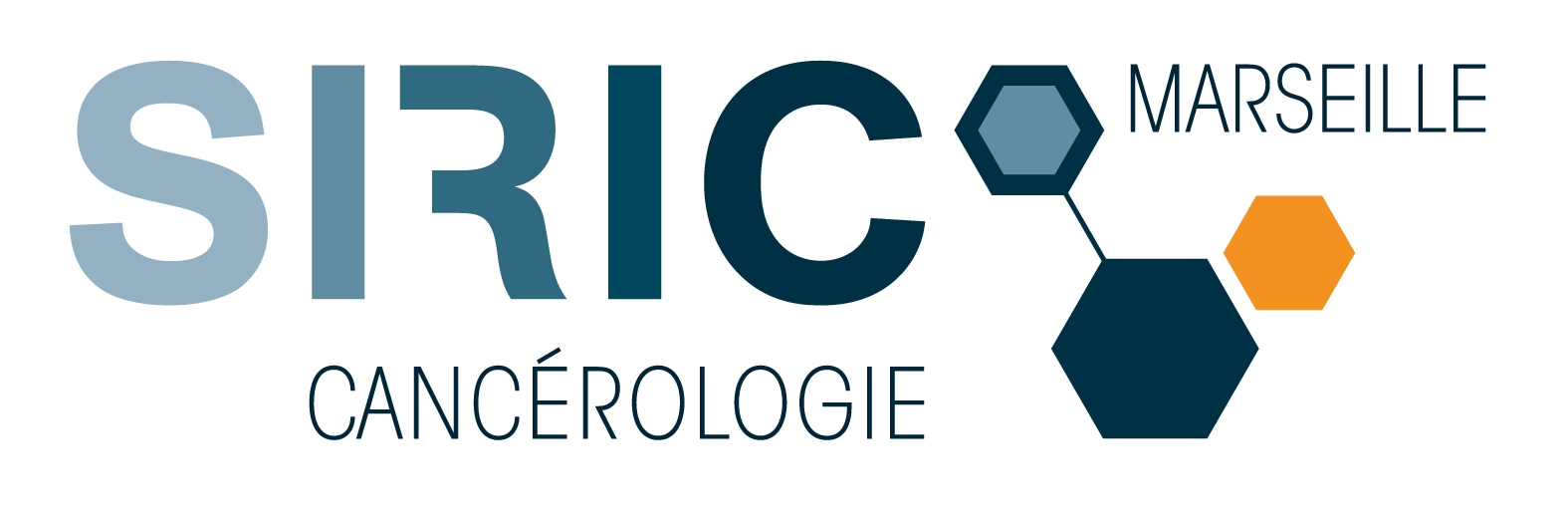 Logo du SIRIC de Marseille