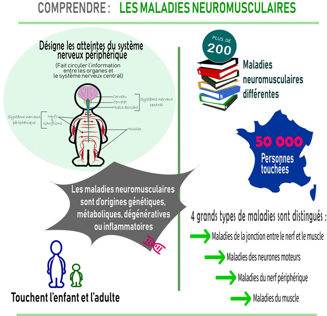 Mieux comprendre les maladies neuromusculaires